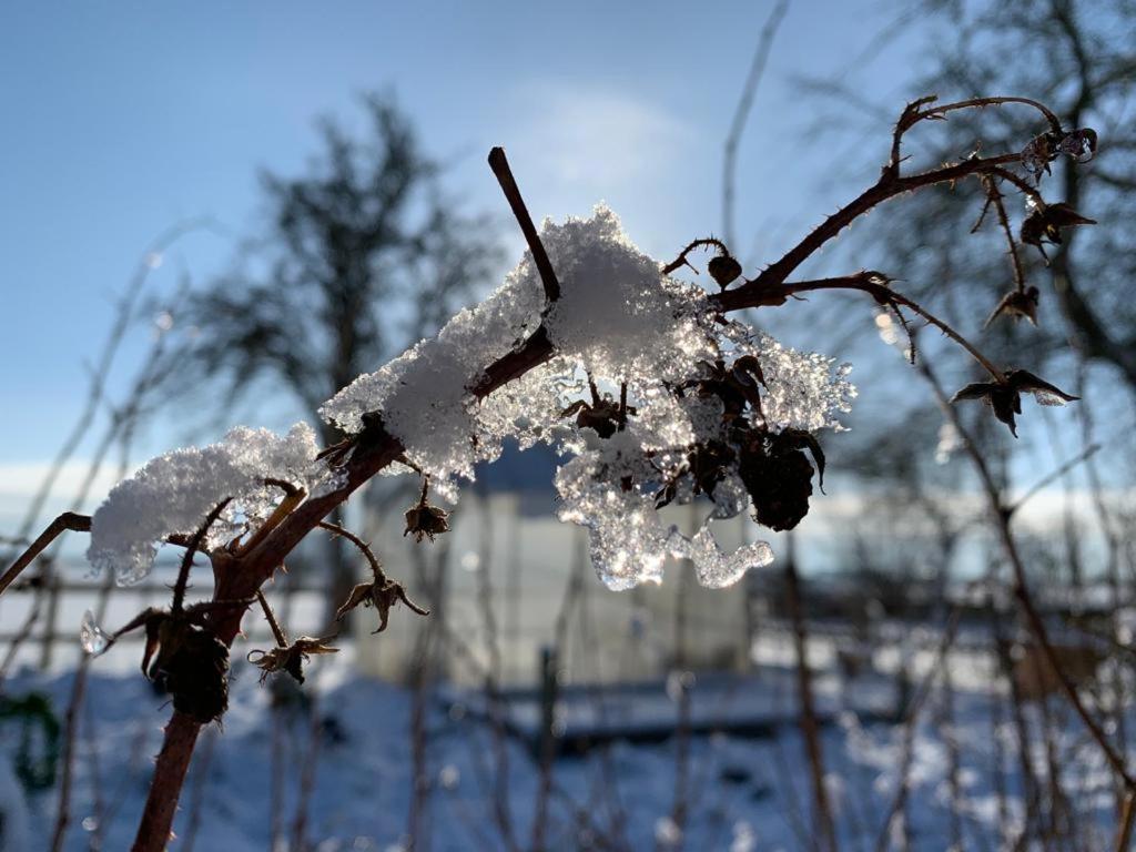 Ostseestuev Boiensdorf Buitenkant foto